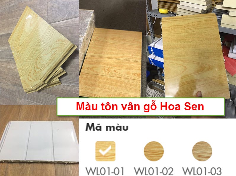 Màu tôn vân gỗ Hoa Sen